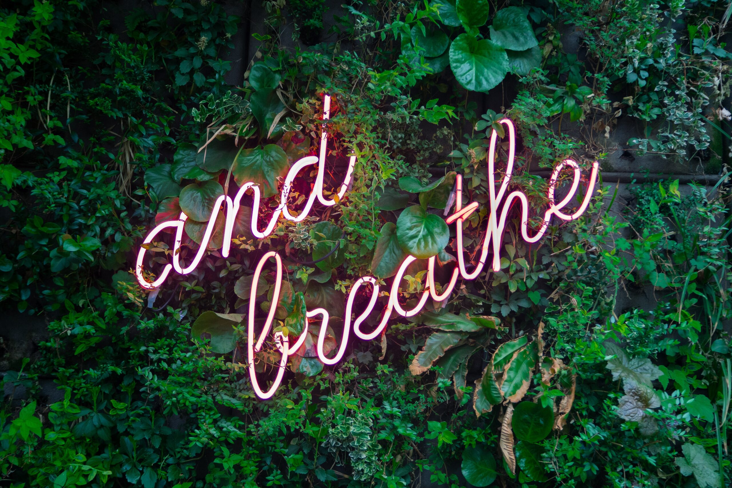 Foto de Max van den Oetelaar en Unsplash