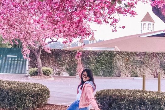 latinamomblog.com spring