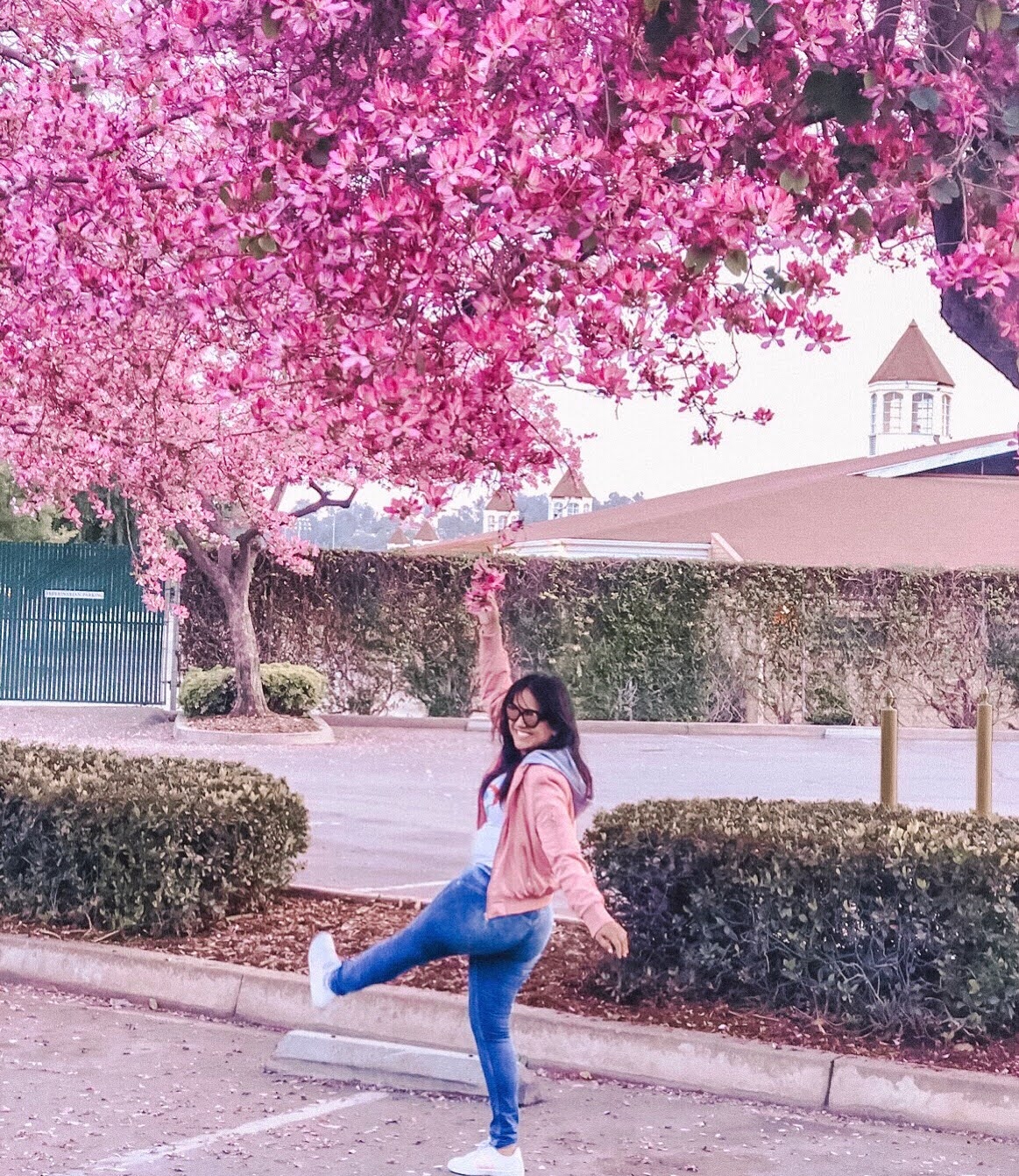 latinamomblog.com spring